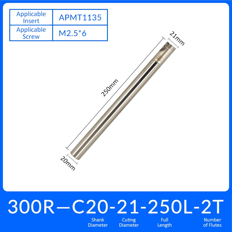 EAP300R C20-21-250-2T Square End Milling Cutter Extended Shank APMT/APKT Tool Holder - Da Blacksmith